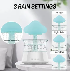 New Portable Rain Cloud Humidifier