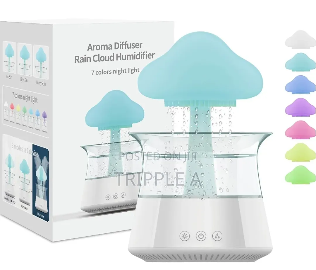New Portable Rain Cloud Humidifier