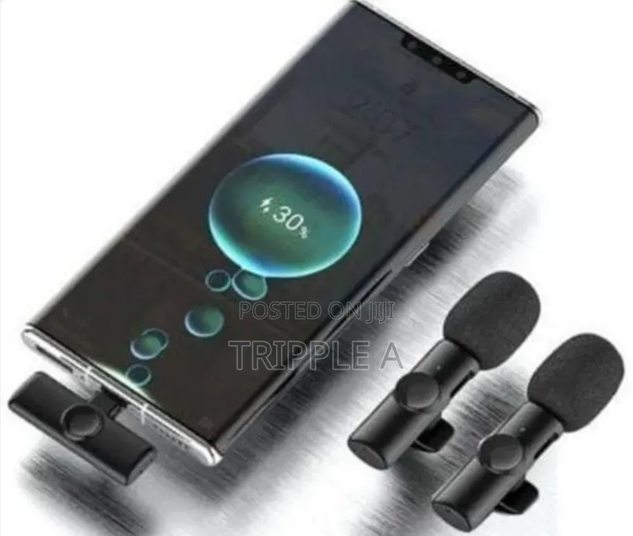 Professional Wireless Lavaliere Microphone