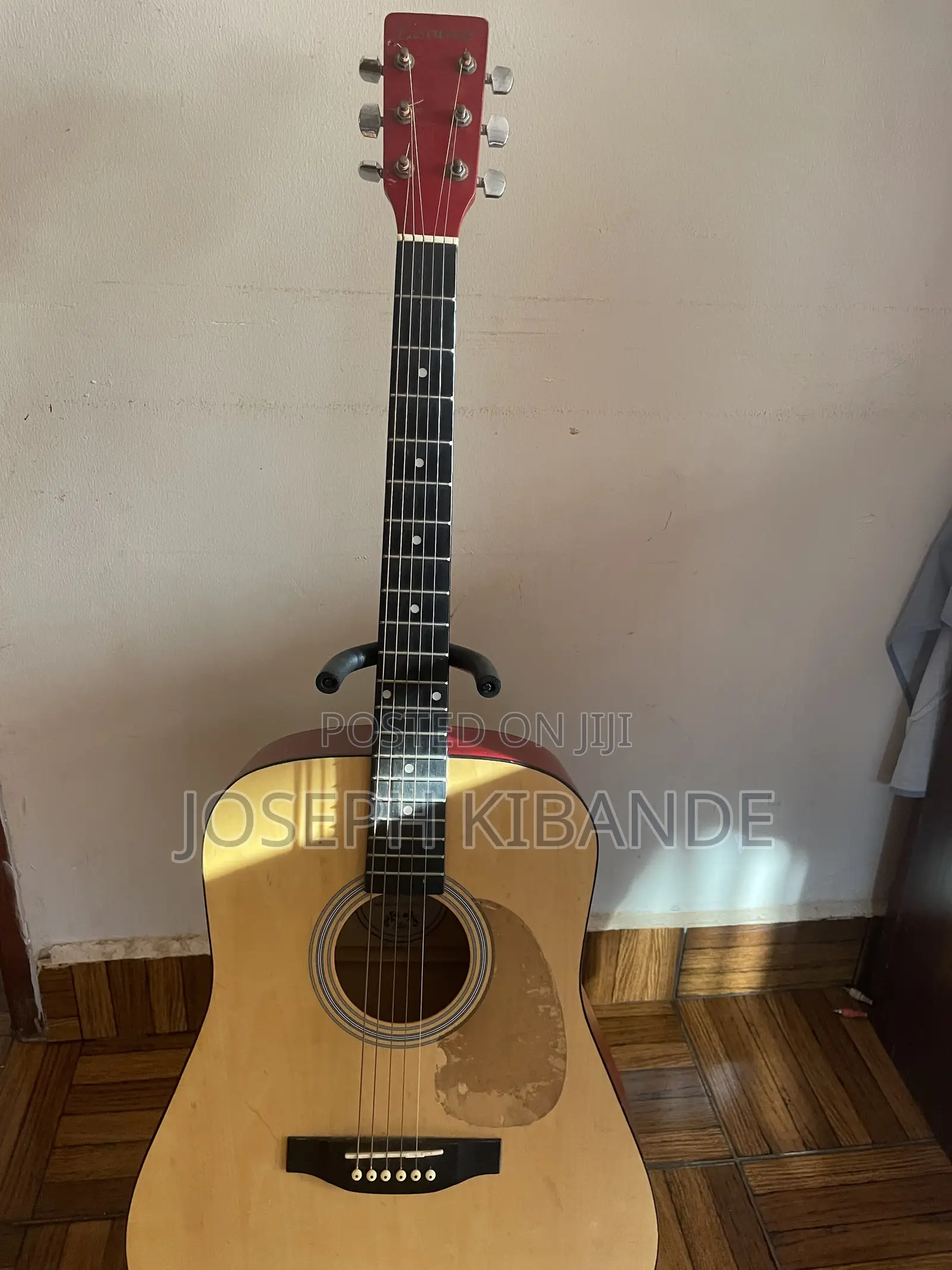 Acoustic Guitar (Eastwood)