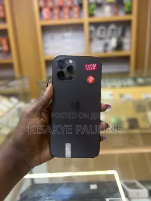 Apple iPhone 12 Pro Max 128 GB Gray