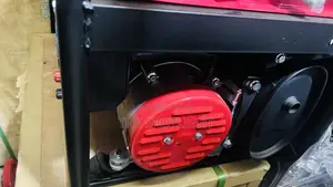 Pt 3300 Edon Generator