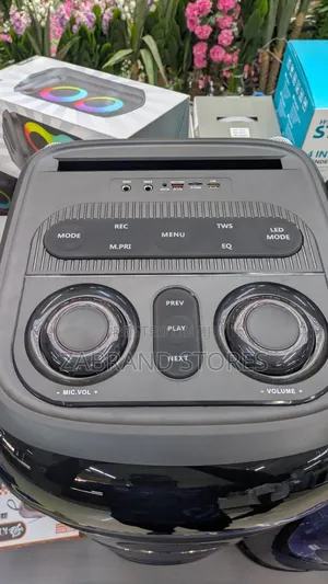 Ailipu Professional Party Box Bluetooth Speaker