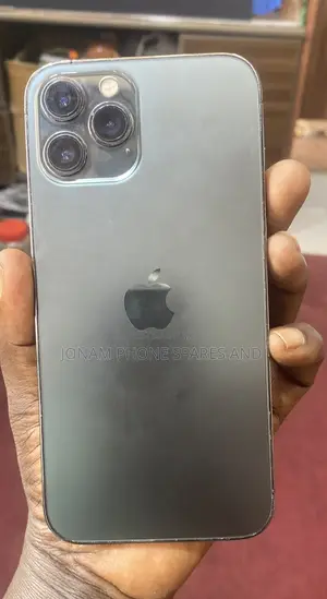 Apple iPhone 12 Pro Max 256 GB Gray