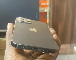 Apple iPhone 12 Pro Max 256 GB Gray