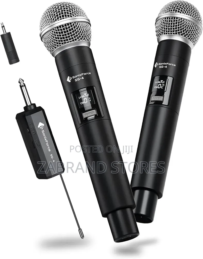 Professional Universal Wireless Microphone