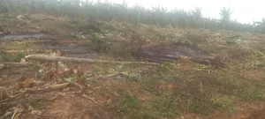 50ft by 100 for 20m and 100ft by 100ft at 40m