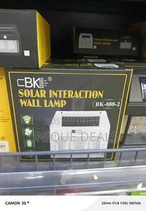 Solar-Powered, Motion-Activated Outdoor Wall Lamp,