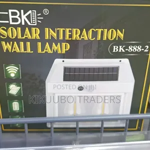 Motion-Activated Outdoor Wall Lamp