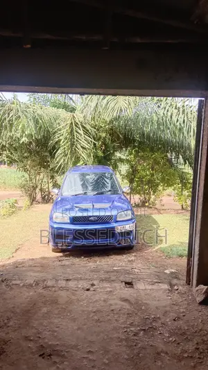 Toyota RAV4 1997 Blue