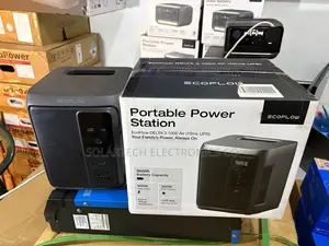 960wh Ecoflow Backup Power Station With Fast Ups Function