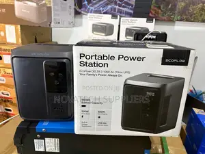 Portable Ecoflow Energy Station 960wh for Camping Emergencies