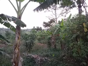 Land for Sale – Mawala, Semuto Road