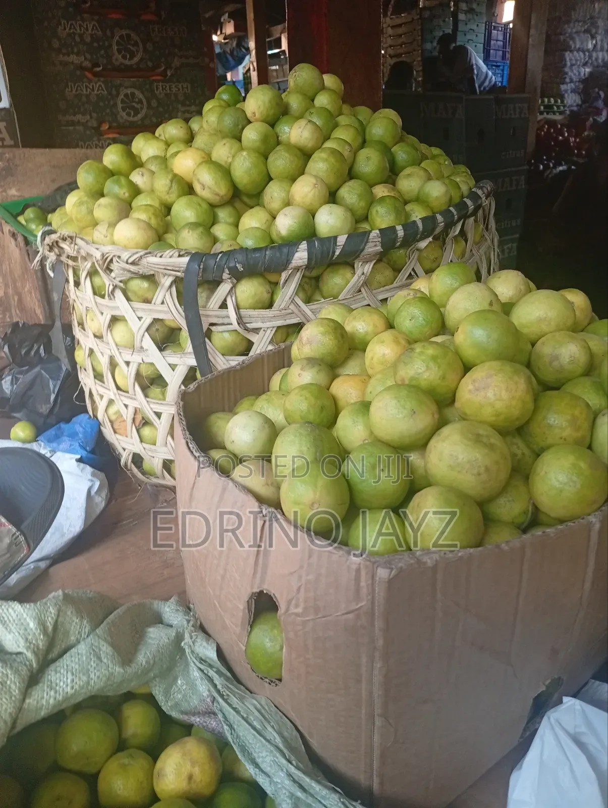 Fresh Lime 