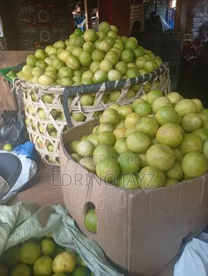 Fresh Lime 