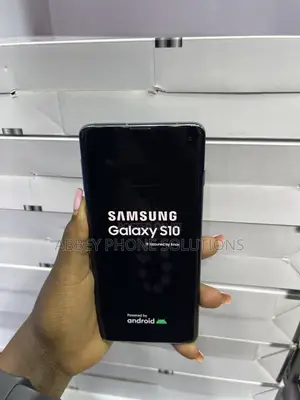 Samsung Galaxy S10 128 GB Blue