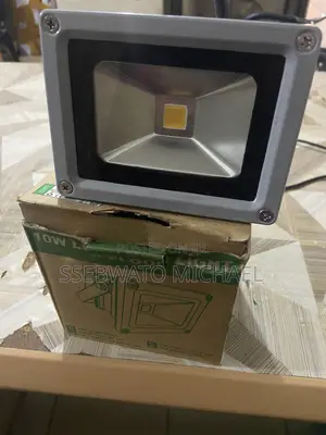 10w Led Floodlight