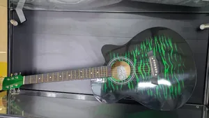 The Olive Tree T-R40 Gn Acoustic Guitar