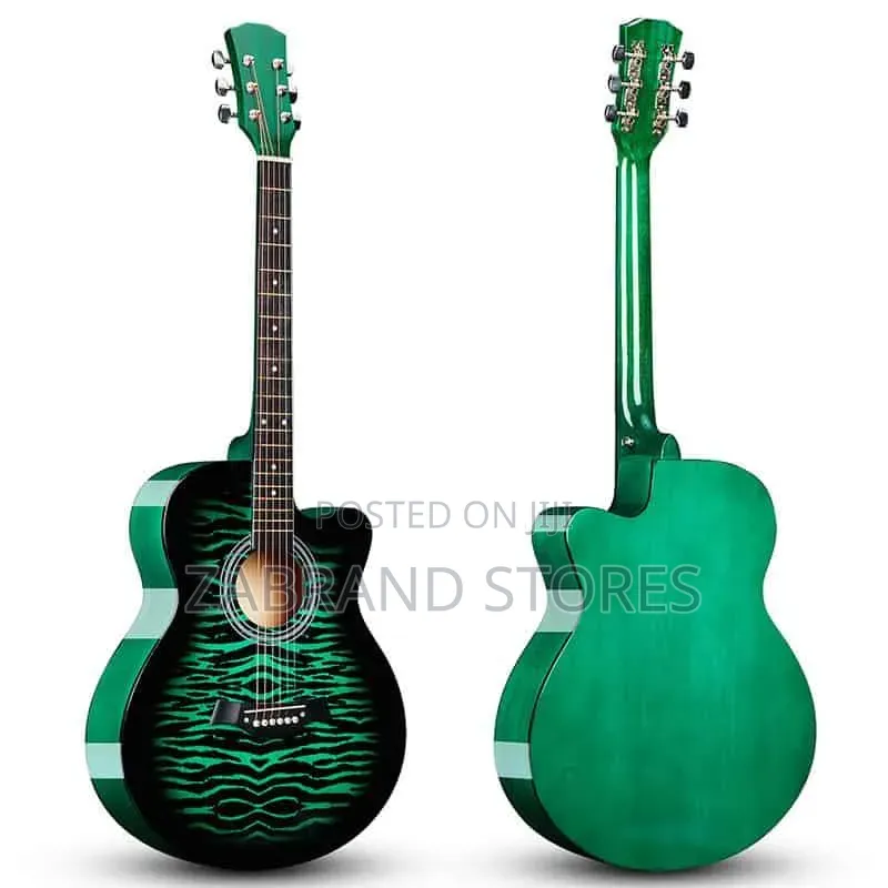 The Olive Tree T-R40 Gn Acoustic Guitar