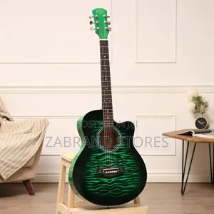 The Olive Tree T-R40 Gn Acoustic Guitar