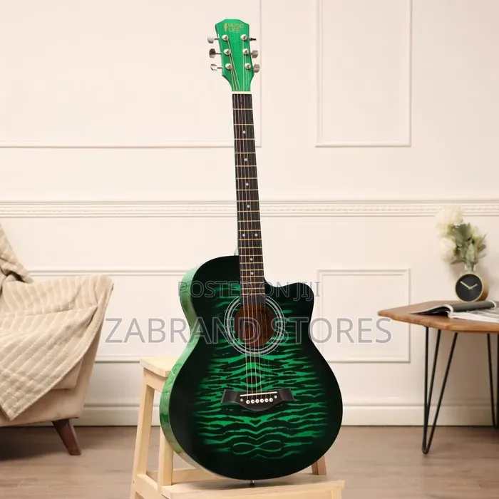 The Olive Tree T-R40 Gn Acoustic Guitar