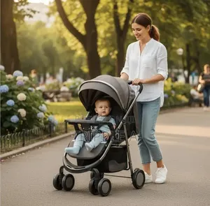 Moveable Baby Carrier Stroller Color Vary