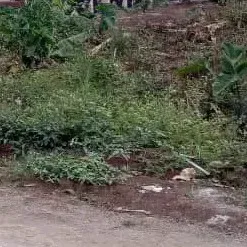 Kibamba Land Plot