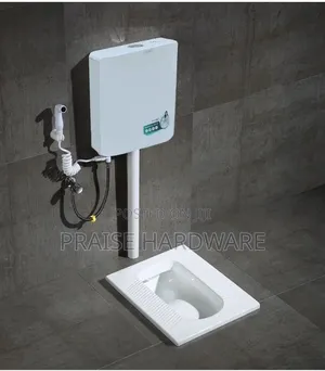 White Squorting Pan and Cistern