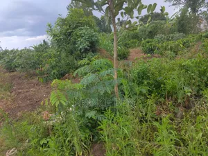 Plots 50ft by 100ft for Sell