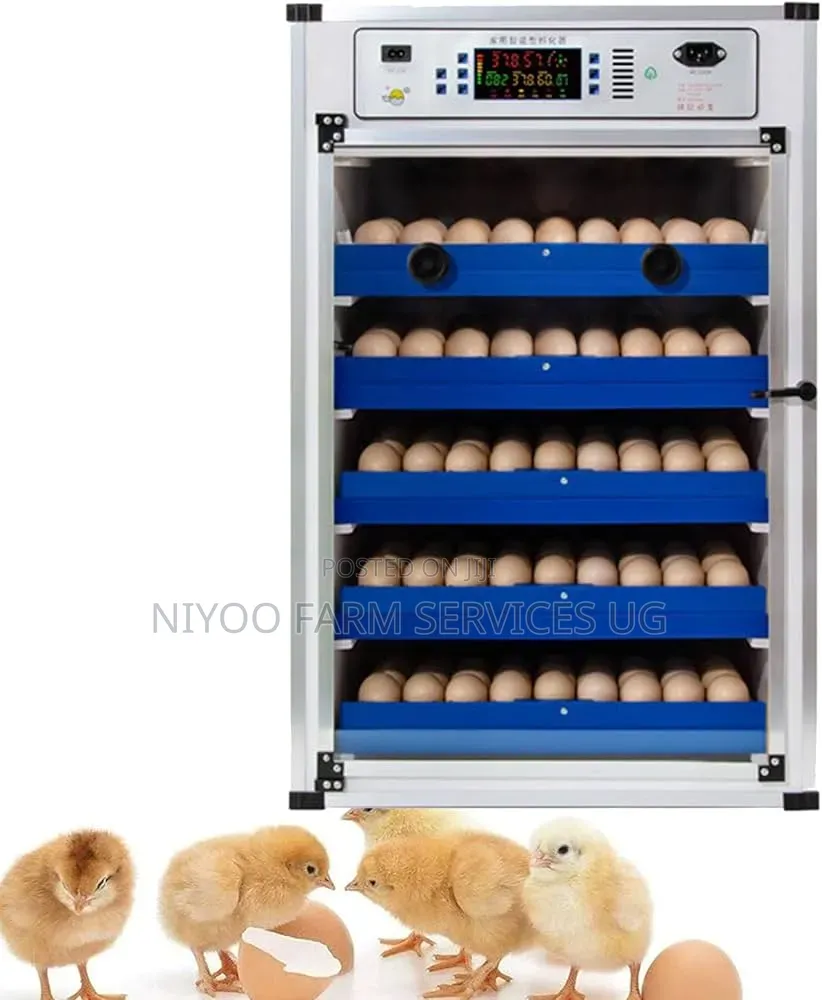 272 Imported Eggs Incubator