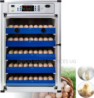 272 Imported Eggs Incubator