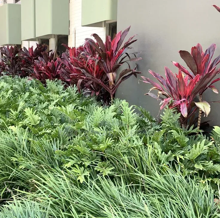 Flower Bed Designing
