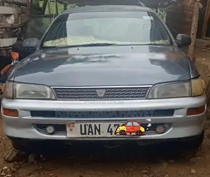 Toyota Corolla 1995 Gray