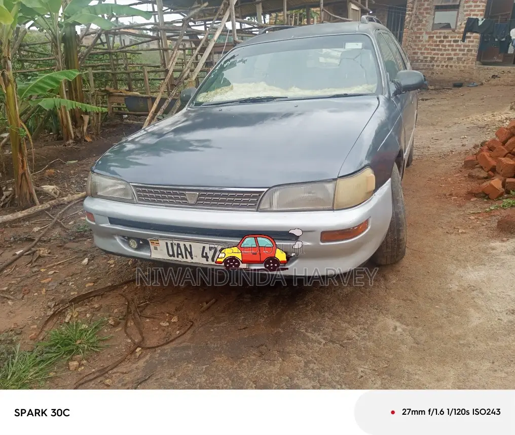 Toyota Corolla 1995 Gray