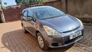 Car Hire and Delivery