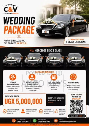 Limousine for Hire