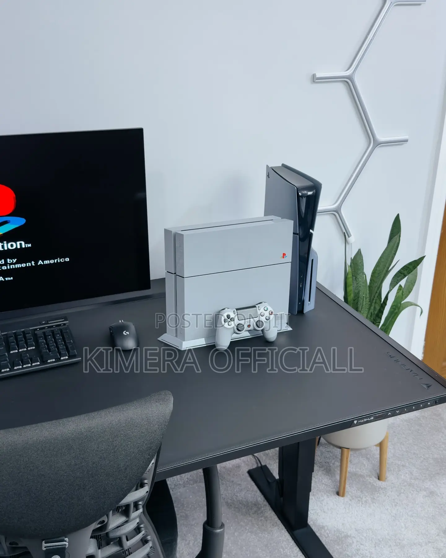 **Playstation 4 Standard**