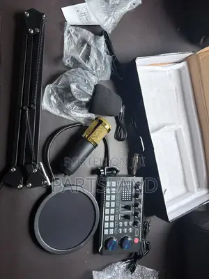 Professional Vocal Condenser Microphone