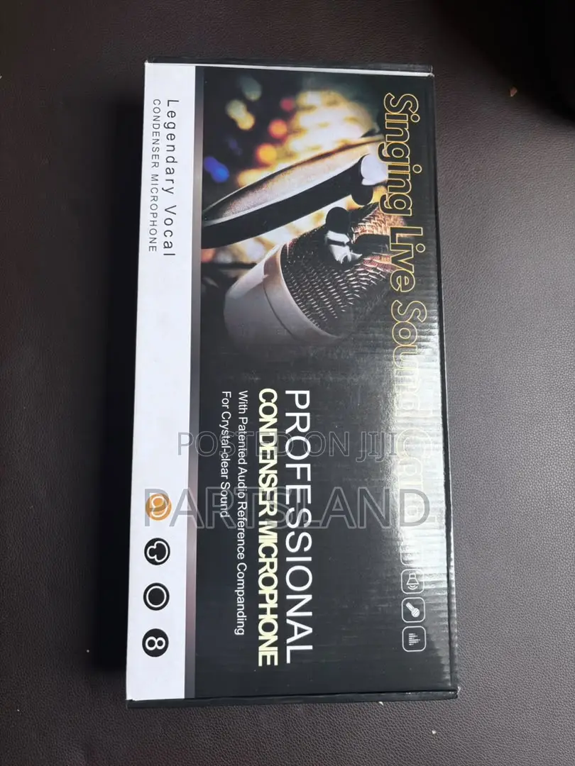 Professional Vocal Condenser Microphone