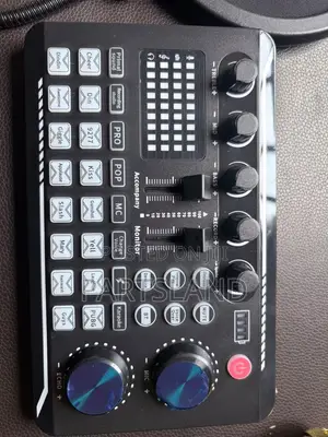 Professional Vocal Condenser Microphone