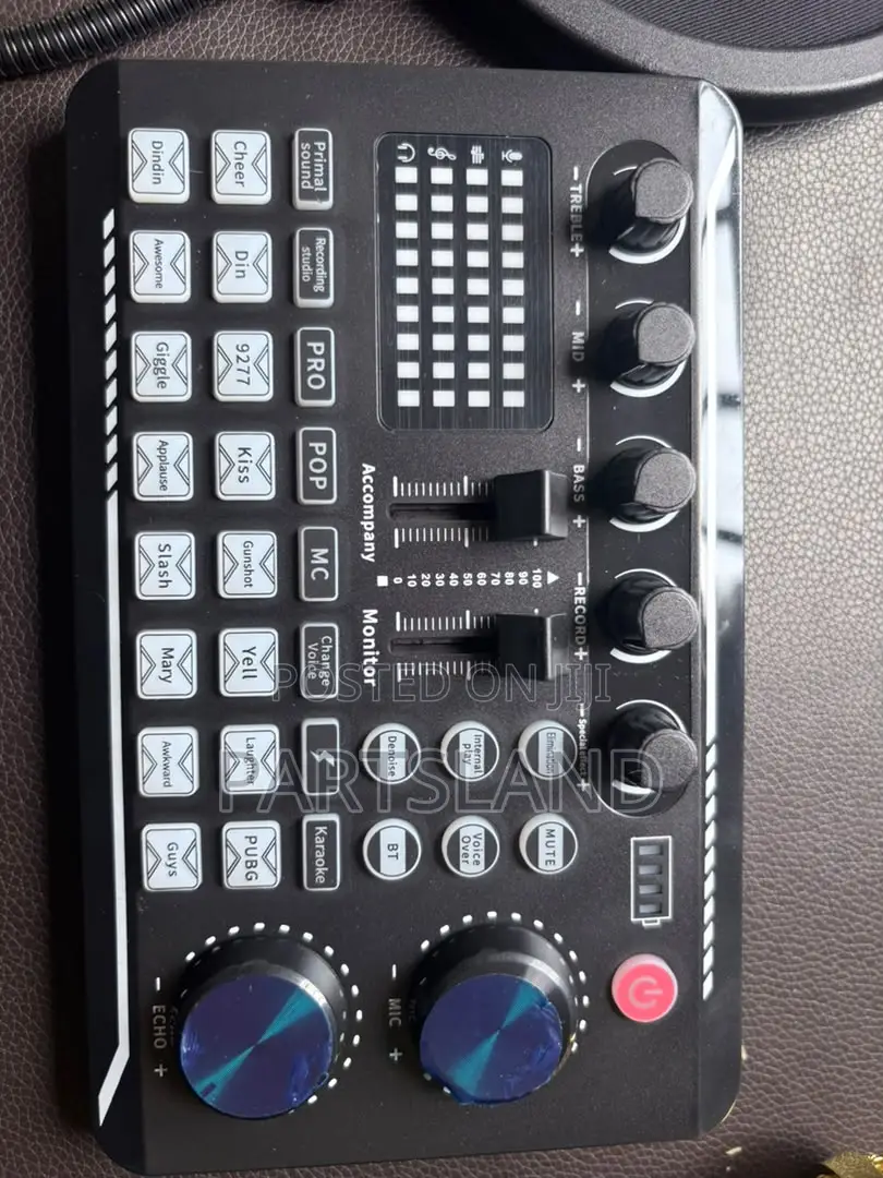 Professional Vocal Condenser Microphone