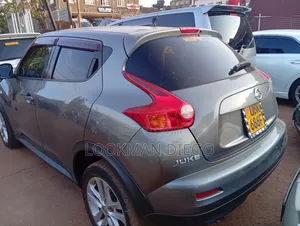 Nissan Juke 2011 Gray
