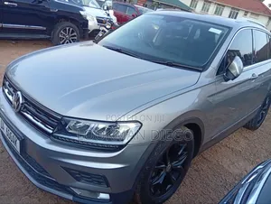 Volkswagen Tiguan 2016 Gray