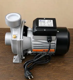 1.5kw Ac Surface Water Pump, 22.5m Head, 30,000l/H Irrigation Pump