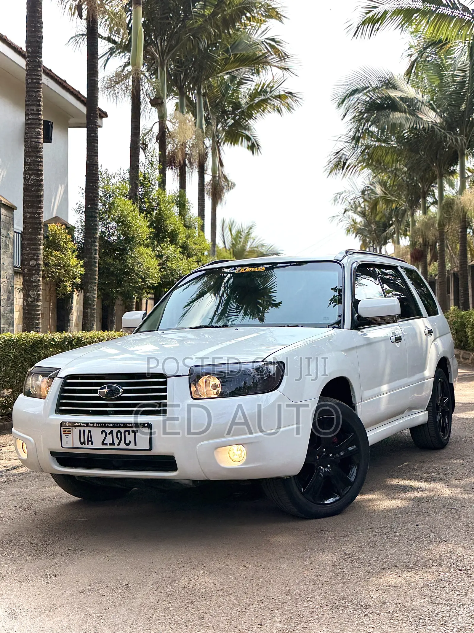 Subaru Forester 2006 White