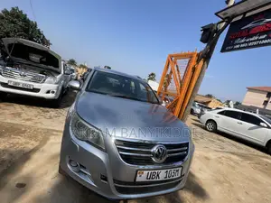 Volkswagen Tiguan 2010 Silver