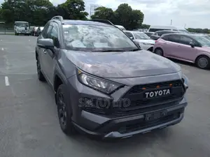 Toyota RAV4 Adventure 2021 Gray