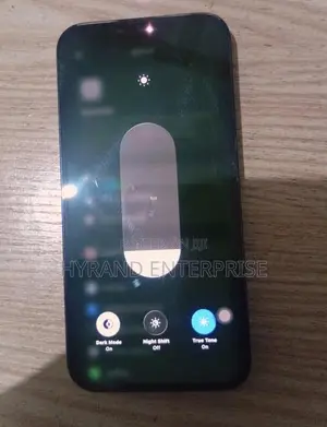 Apple iPhone 13 Pro Max 256 GB Blue