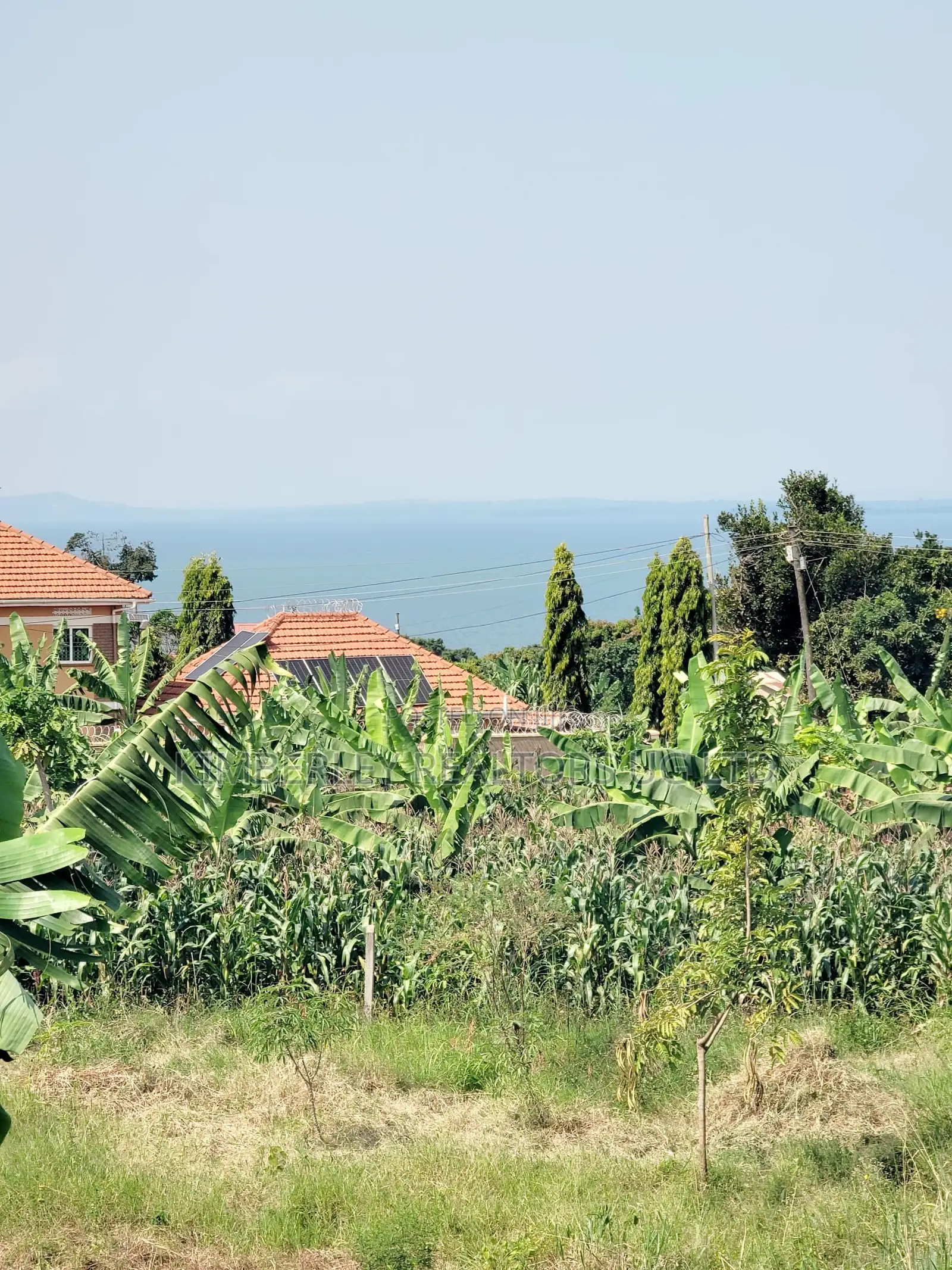 Land for Sale – Kira Shemon