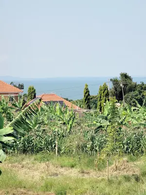 Land for Sale – Kira Shemon